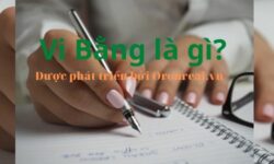 Công chứng Vi Bằng Là Gì? Có Nên Mua Nhà Vi Bằng không?